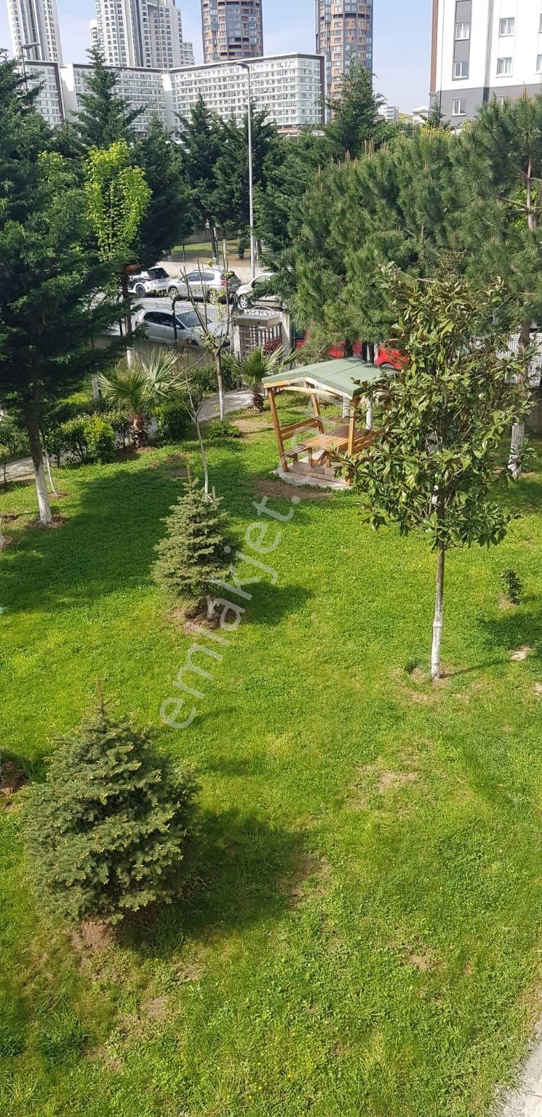 Menekşe 2 De Balkonlu Acill Fulll Tadilatlı Acill Satılık Daire - Görsel 14