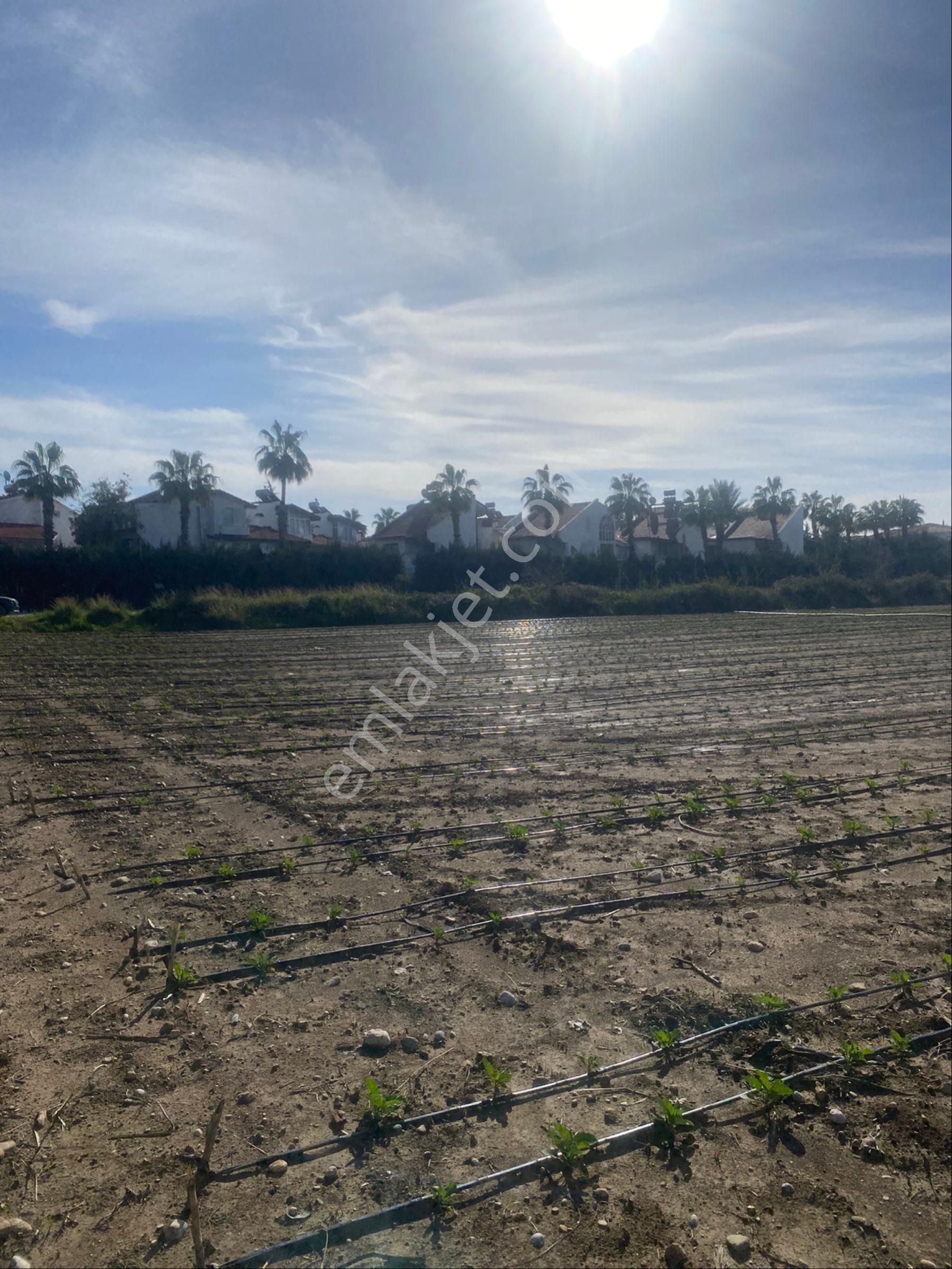 Kızılağaç Mahallesi’nde 350 Metrekare Villa Arsamız Denize 300 Metre Mesafede Satılıktır - Görsel 17