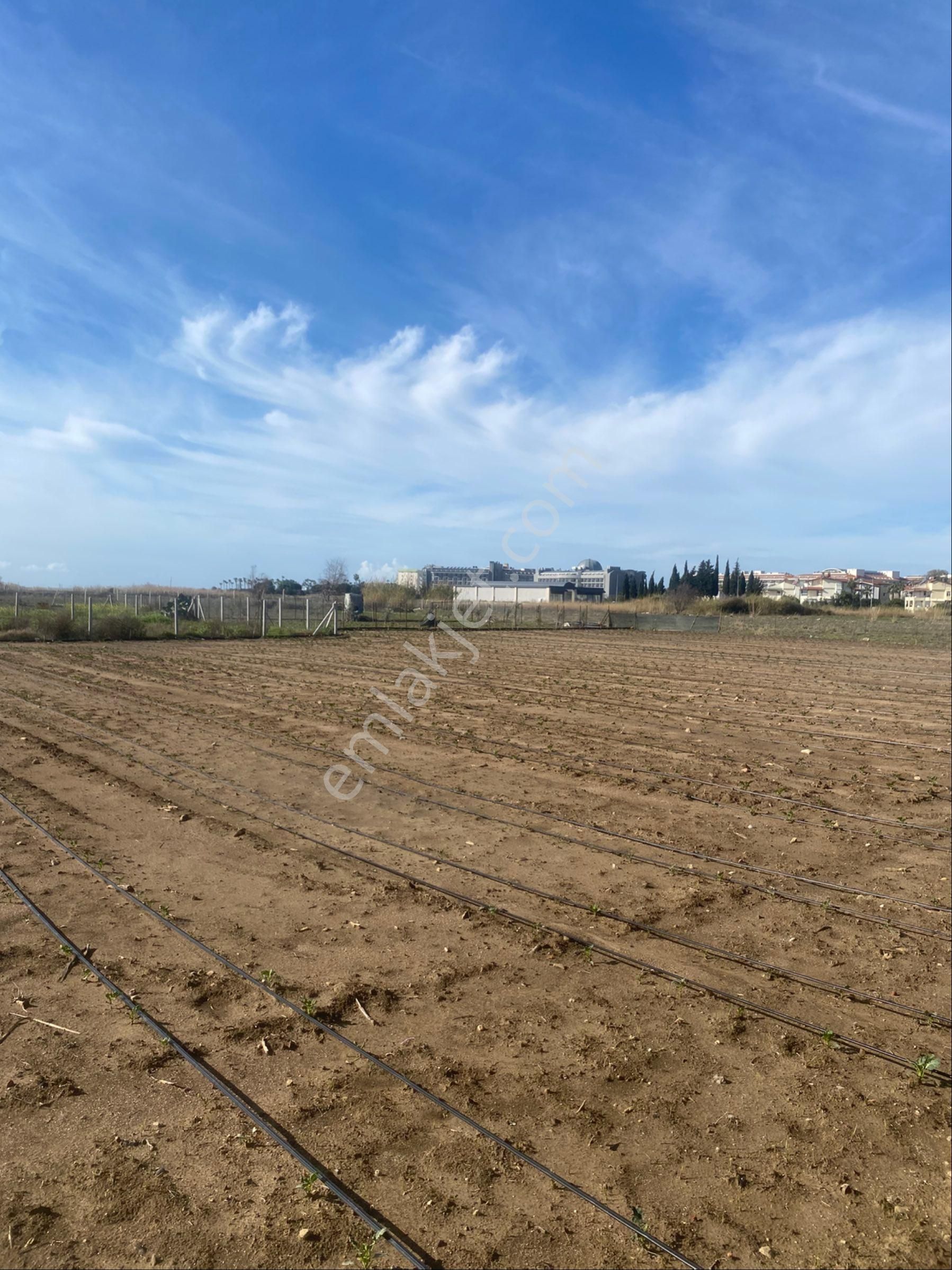 Kızılağaç Mahallesi’nde 350 Metrekare Villa Arsamız Denize 300 Metre Mesafede Satılıktır - Görsel 16