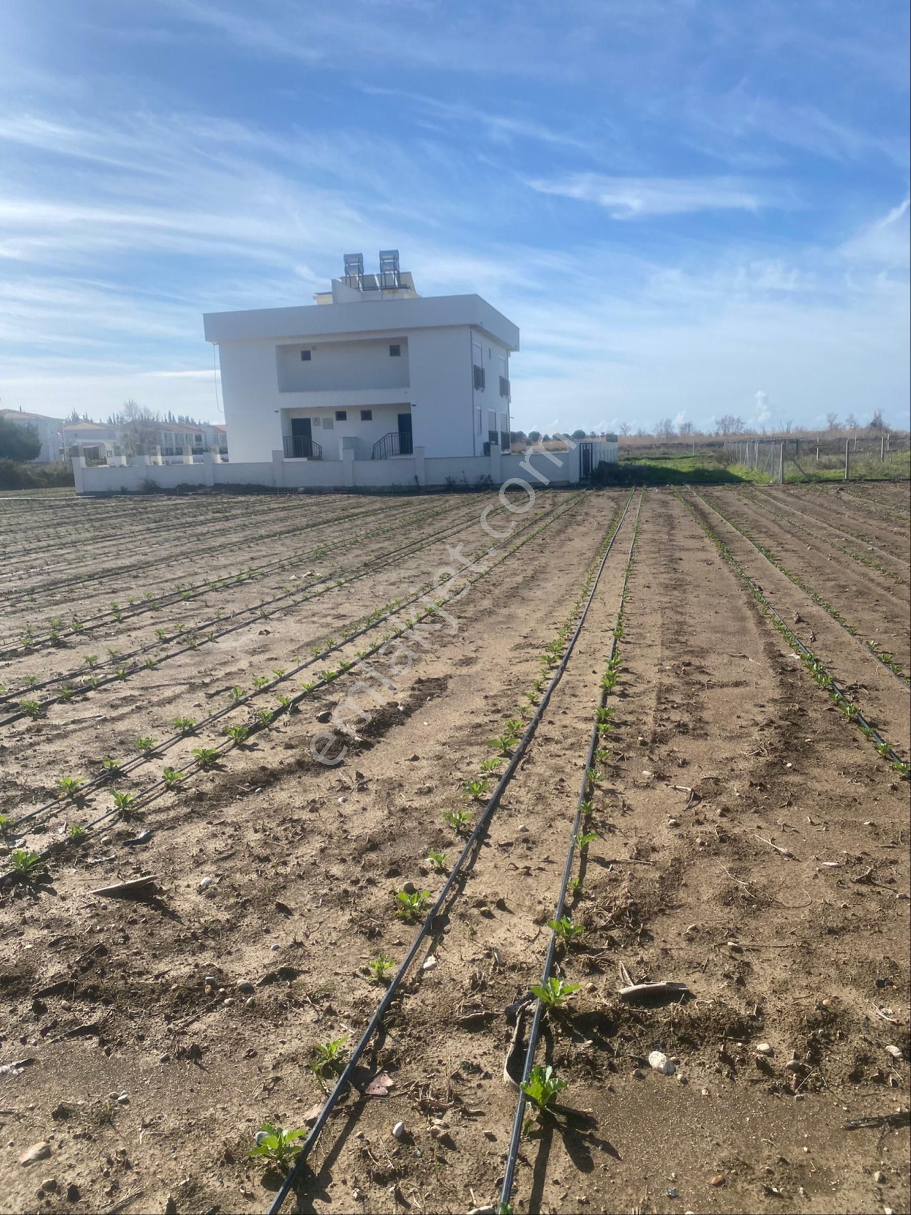 Kızılağaç Mahallesi’nde 350 Metrekare Villa Arsamız Denize 300 Metre Mesafede Satılıktır - Görsel 18