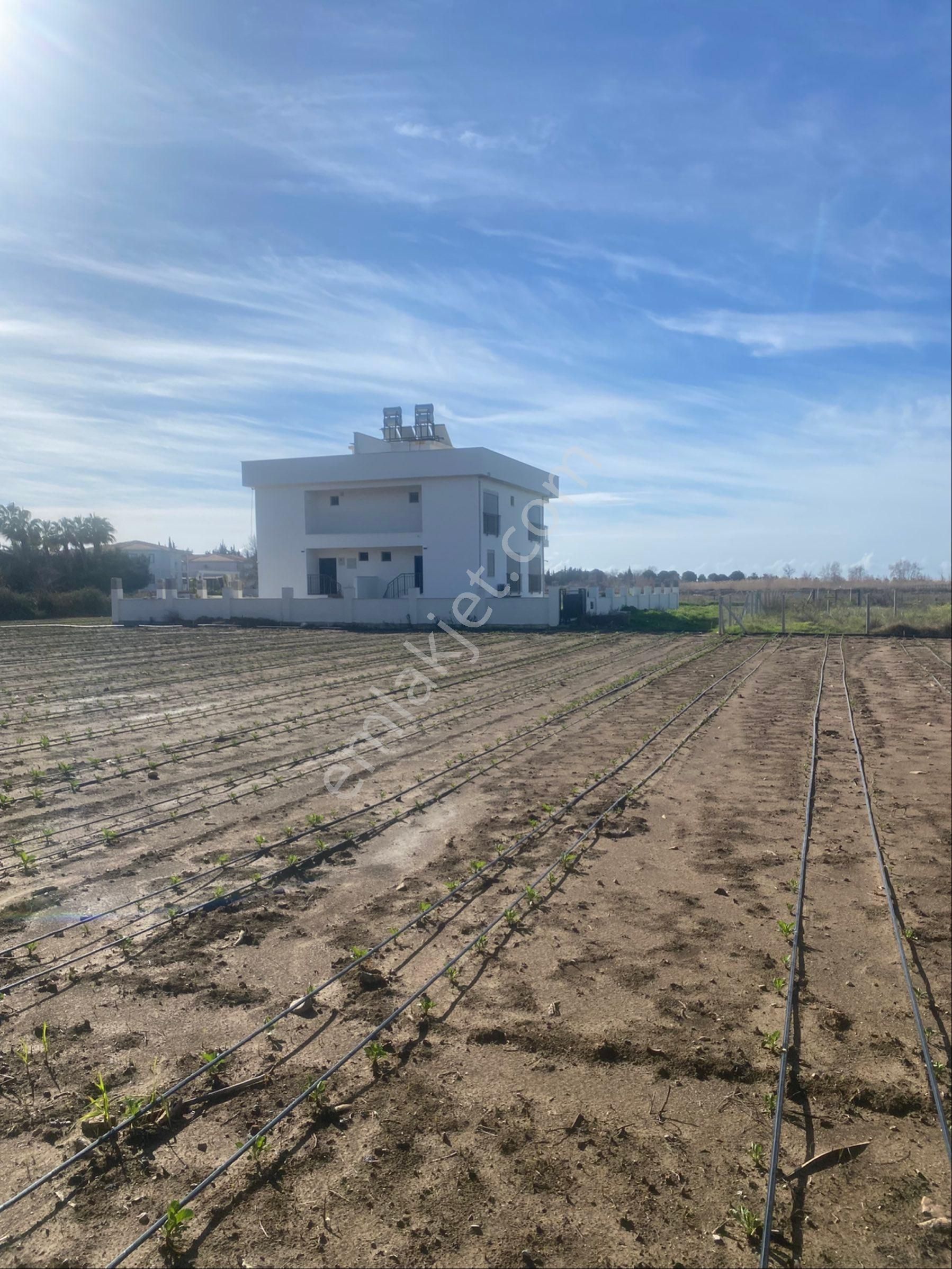 Kızılağaç Mahallesi’nde 350 Metrekare Villa Arsamız Denize 300 Metre Mesafede Satılıktır - Görsel 15