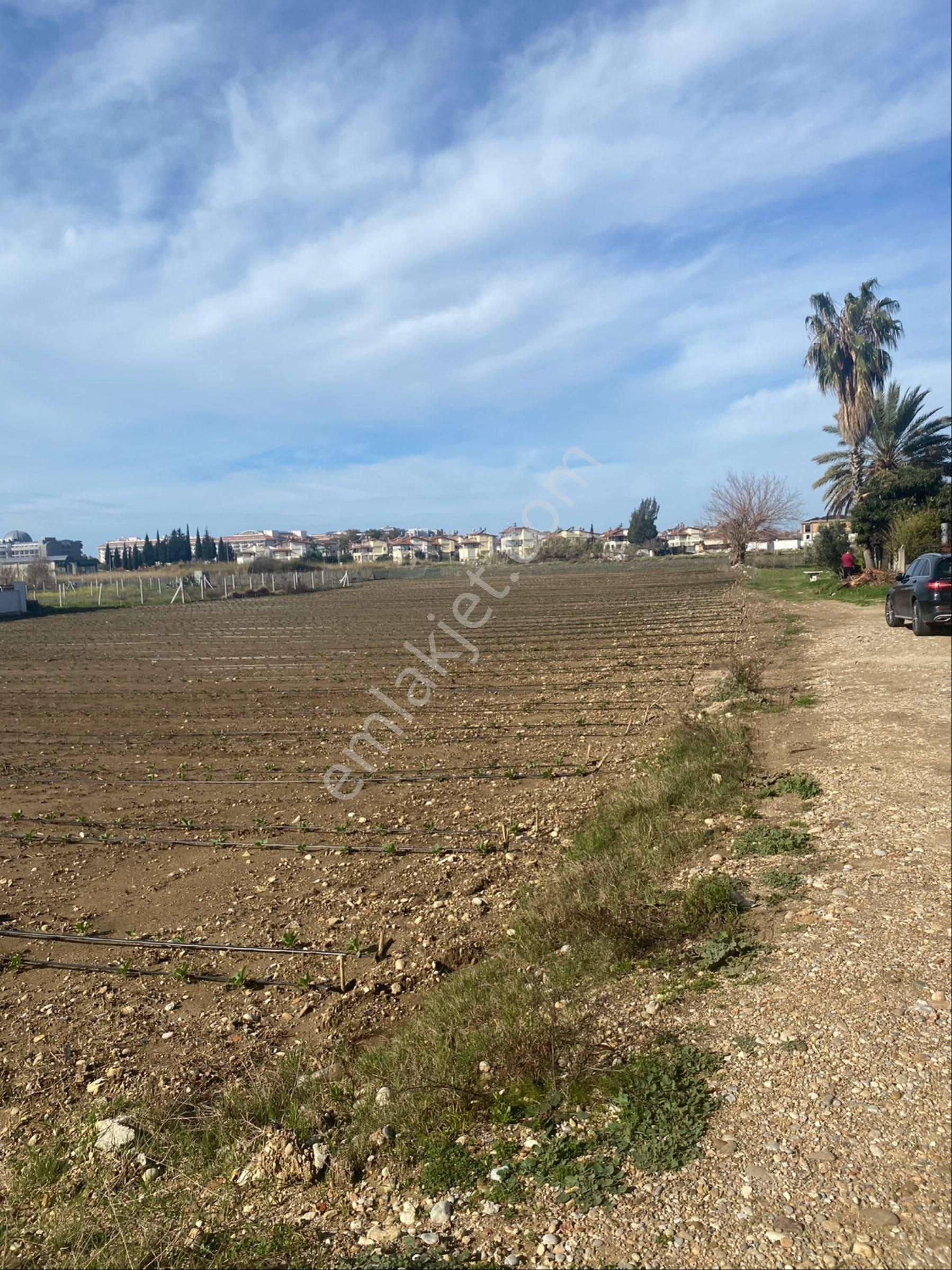 Kızılağaç Mahallesi’nde 350 Metrekare Villa Arsamız Denize 300 Metre Mesafede Satılıktır - Görsel 12