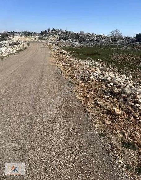 Aktif'ten İnsu'da Satılık 2400 M2 Satılık Yatırımlık Arsa - Görsel 3