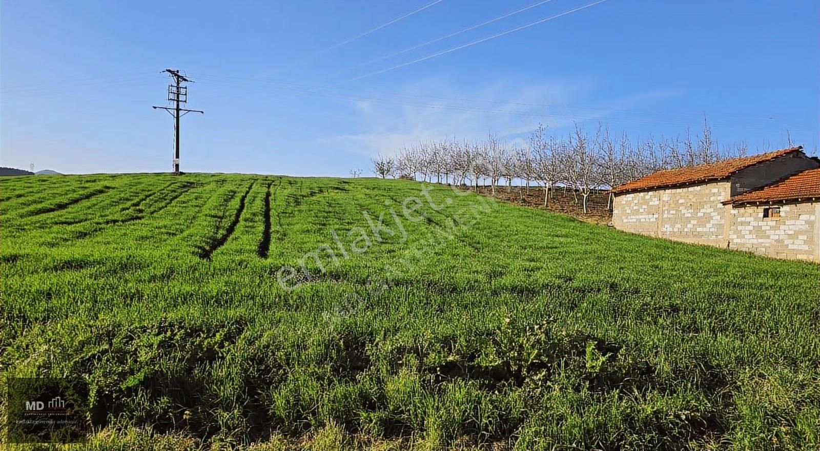 Yenişehir Alaylı'da Satılık 19.375m² İmar İçerisinde Tarla - Görsel 14