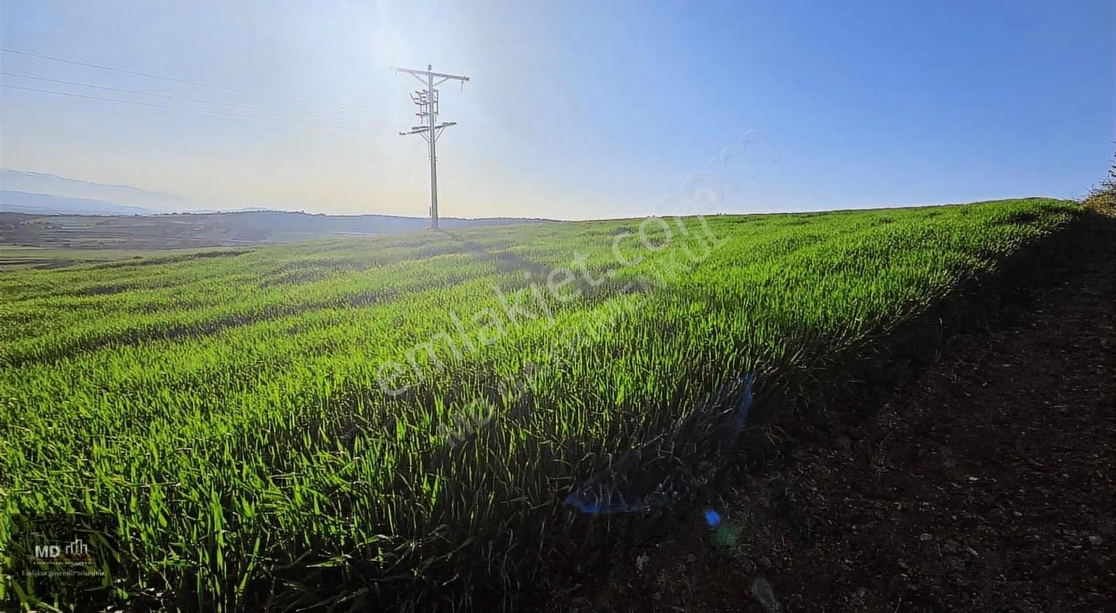 Yenişehir Alaylı'da Satılık 19.375m² İmar İçerisinde Tarla - Görsel 23