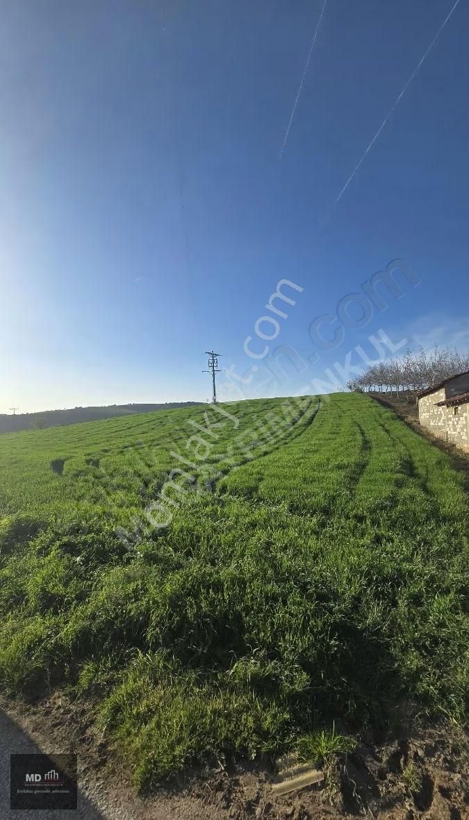 Yenişehir Alaylı'da Satılık 19.375m² İmar İçerisinde Tarla - Görsel 7