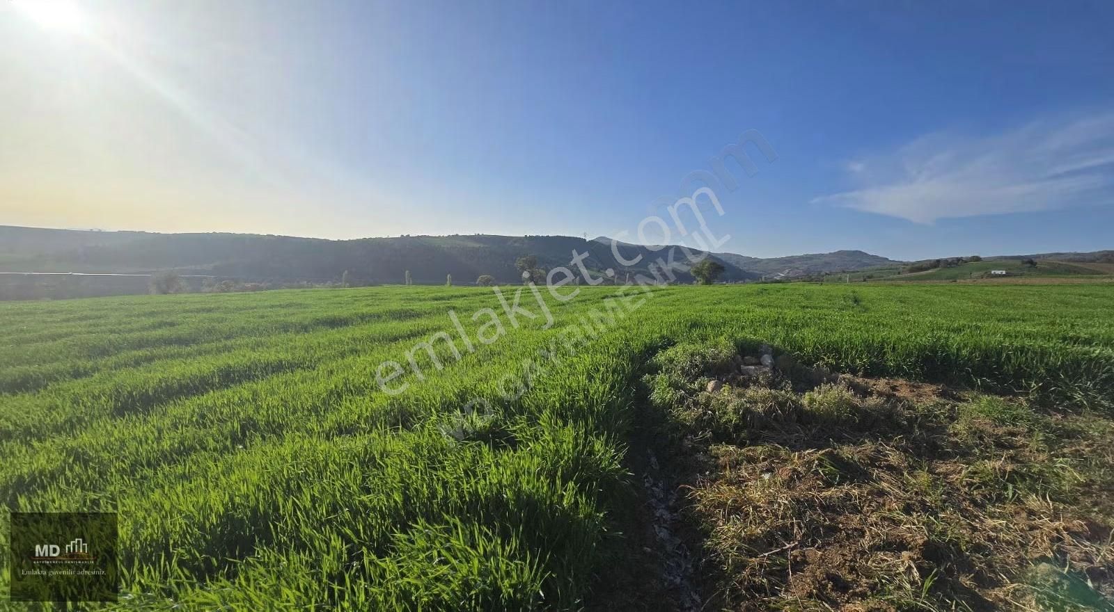 Yenişehir Alaylı'da Satılık 19.375m² İmar İçerisinde Tarla - Görsel 4