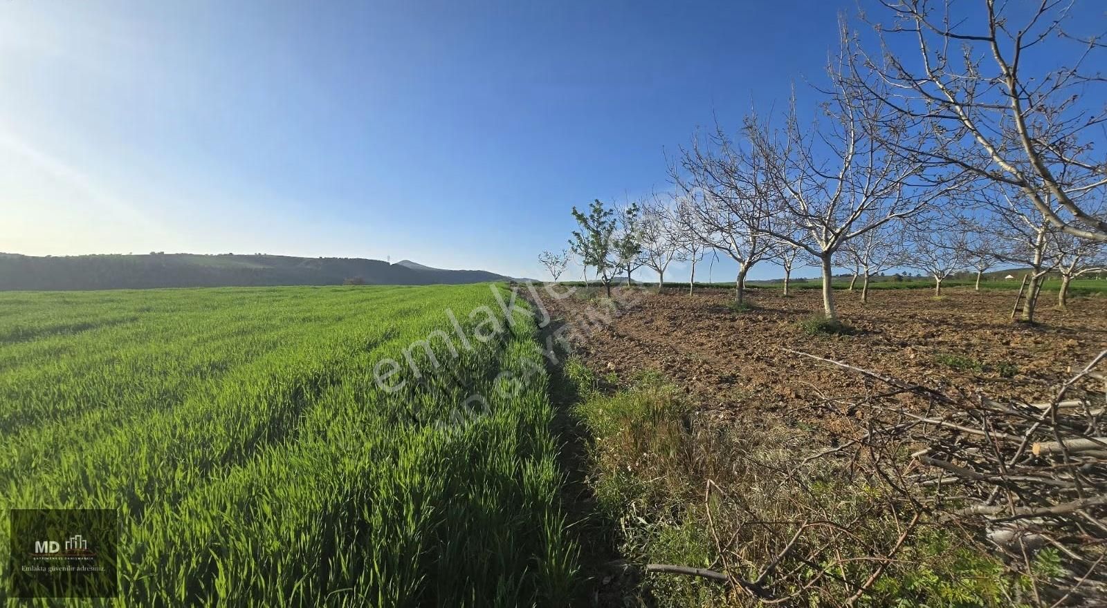 Yenişehir Alaylı'da Satılık 19.375m² İmar İçerisinde Tarla - Görsel 26