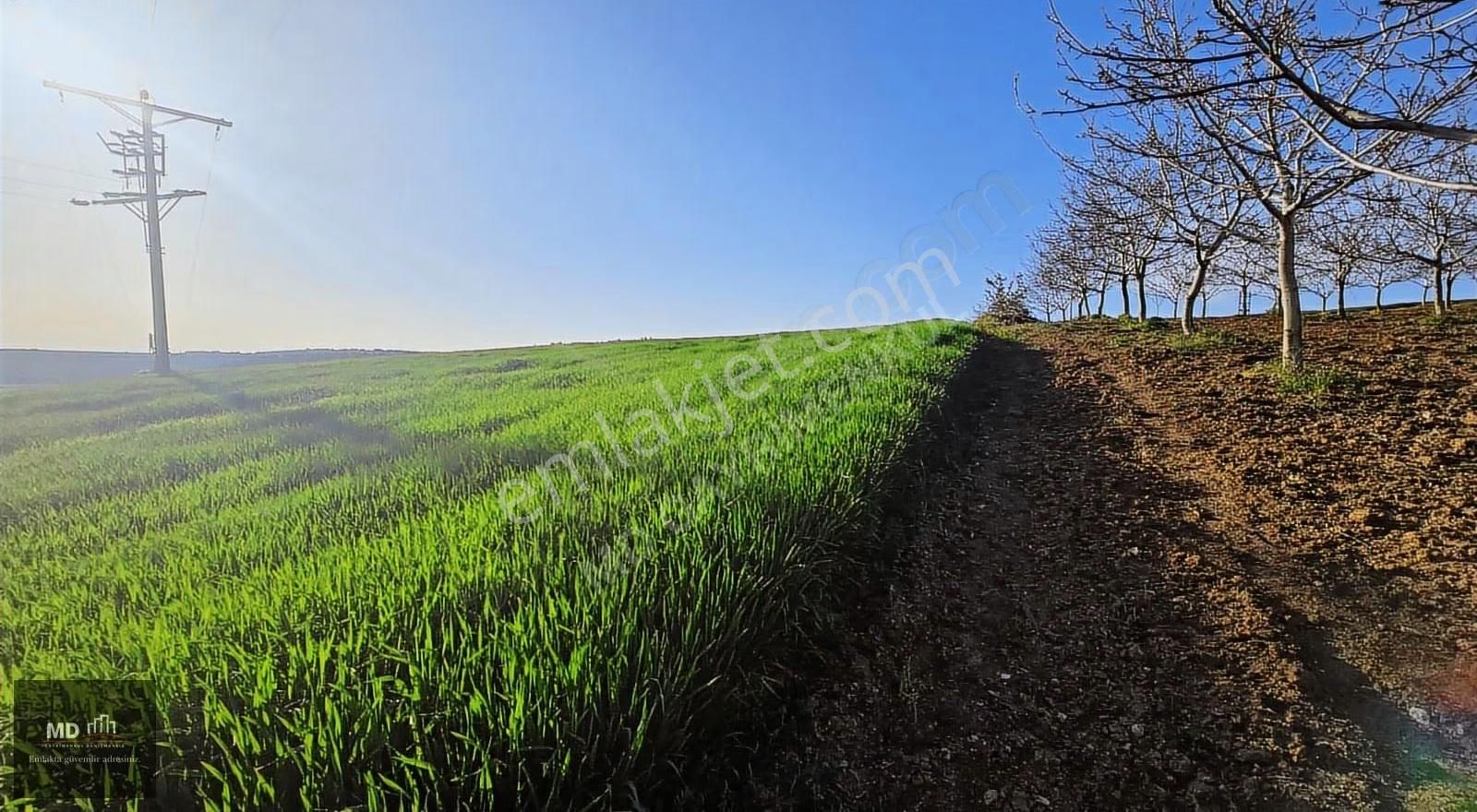 Yenişehir Alaylı'da Satılık 19.375m² İmar İçerisinde Tarla - Görsel 20