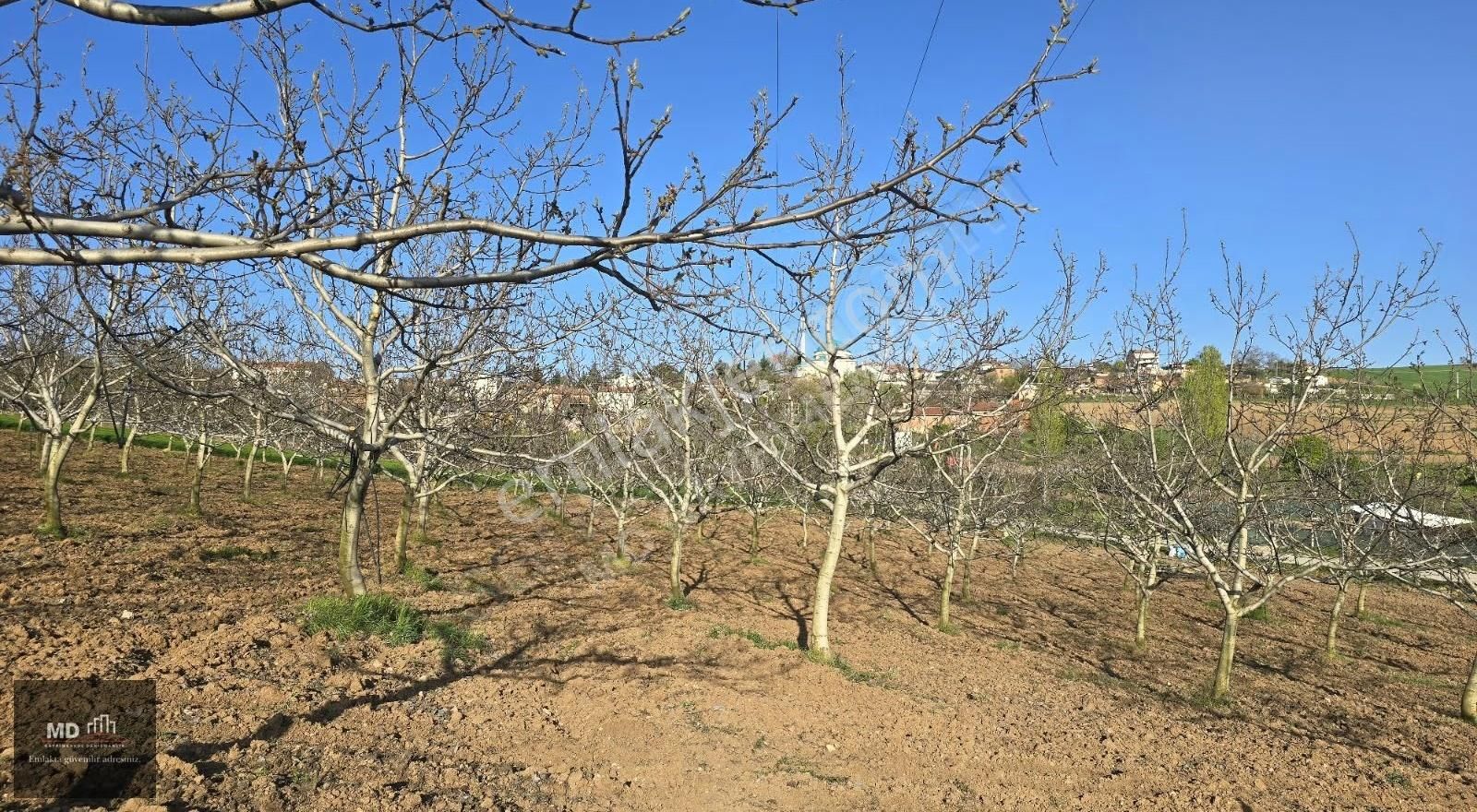 Yenişehir Alaylı'da Satılık 19.375m² İmar İçerisinde Tarla - Görsel 12