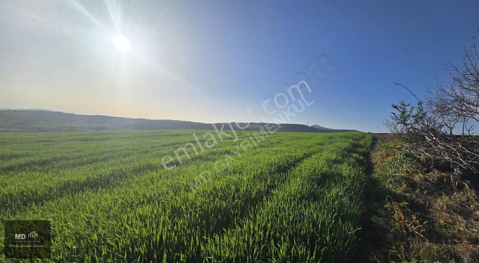 Yenişehir Alaylı'da Satılık 19.375m² İmar İçerisinde Tarla - Görsel 10