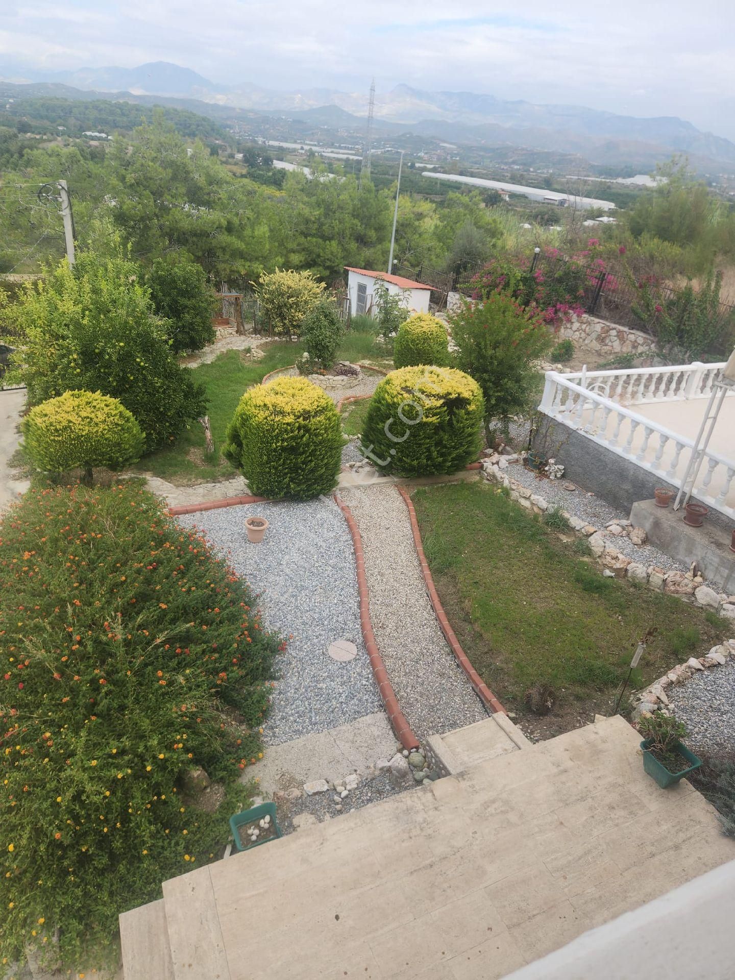 Sarılar Bir Dönüm Arsa İçerisinde - Görsel 16