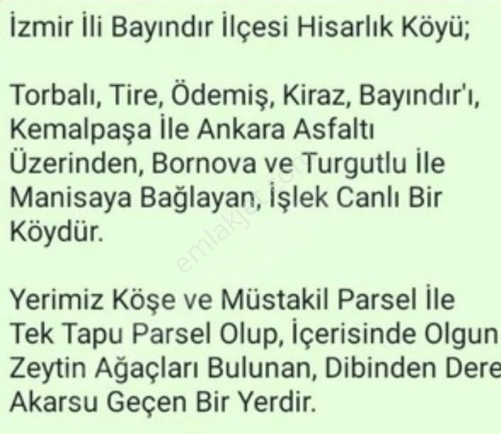 🌿 İzmir Bayındır Hisarlık’ta Satılık Zeytinlik 🌿 - Görsel 7