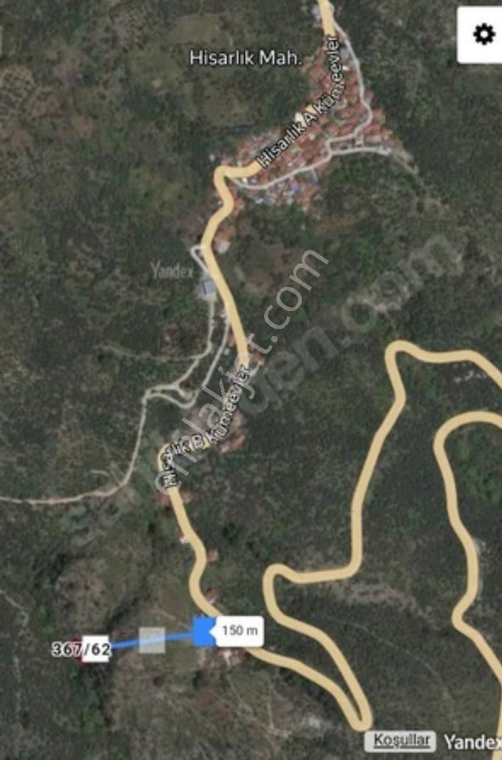 🌿 İzmir Bayındır Hisarlık’ta Satılık Zeytinlik 🌿 - Görsel 2