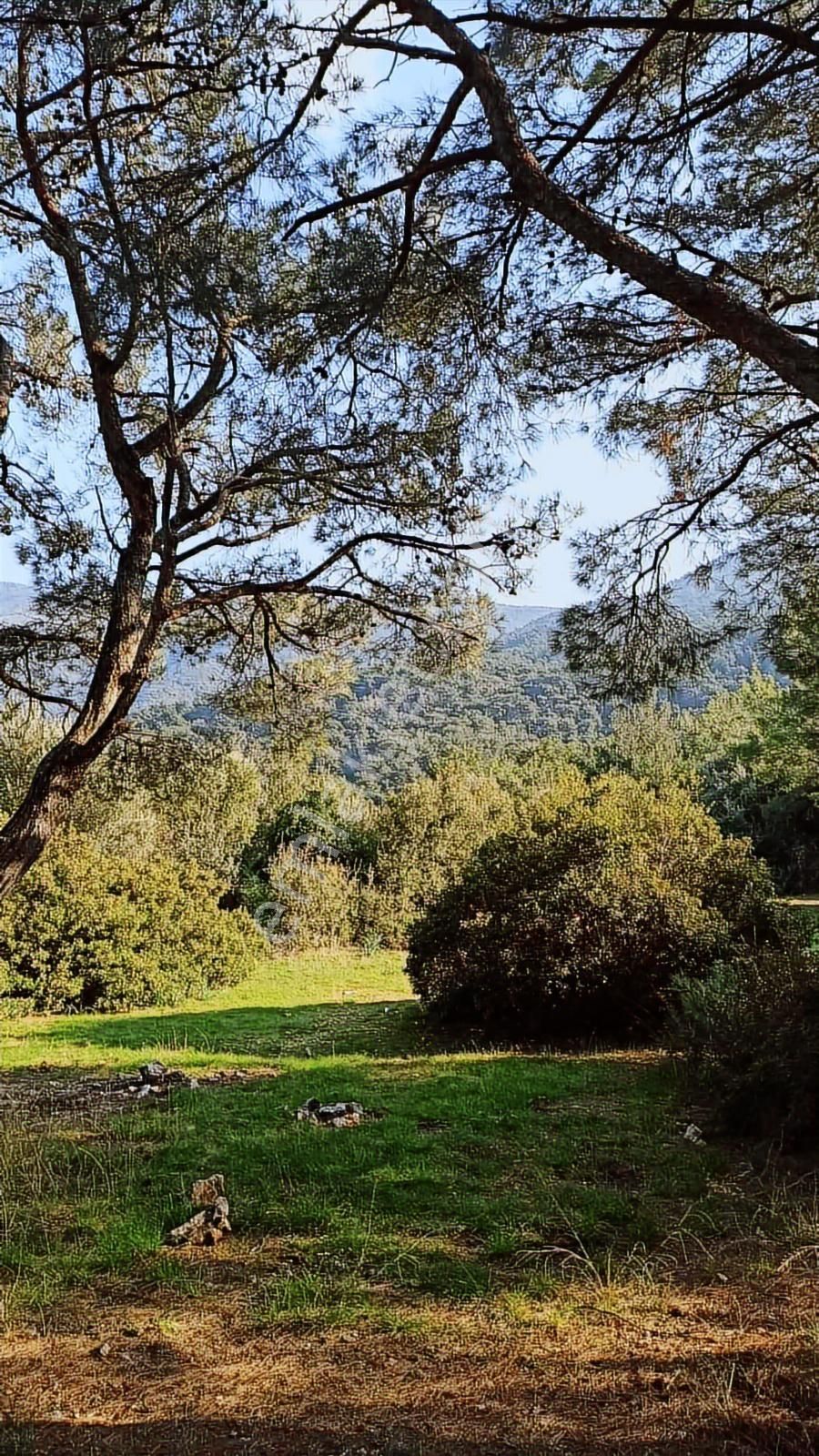 Pascha Emlak'tan Güzelçamlı'da Satılık Müstakil Bahçeli Daire - Görsel 45