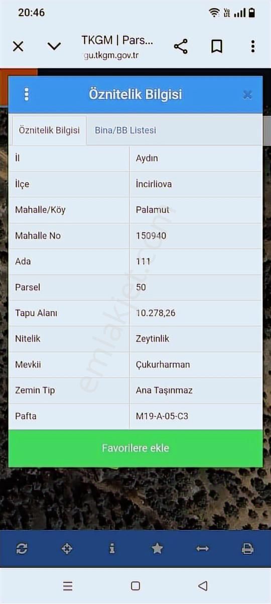 Aydın İncirliova Palamut Satılık Zeytin Bahçesi - Görsel 18