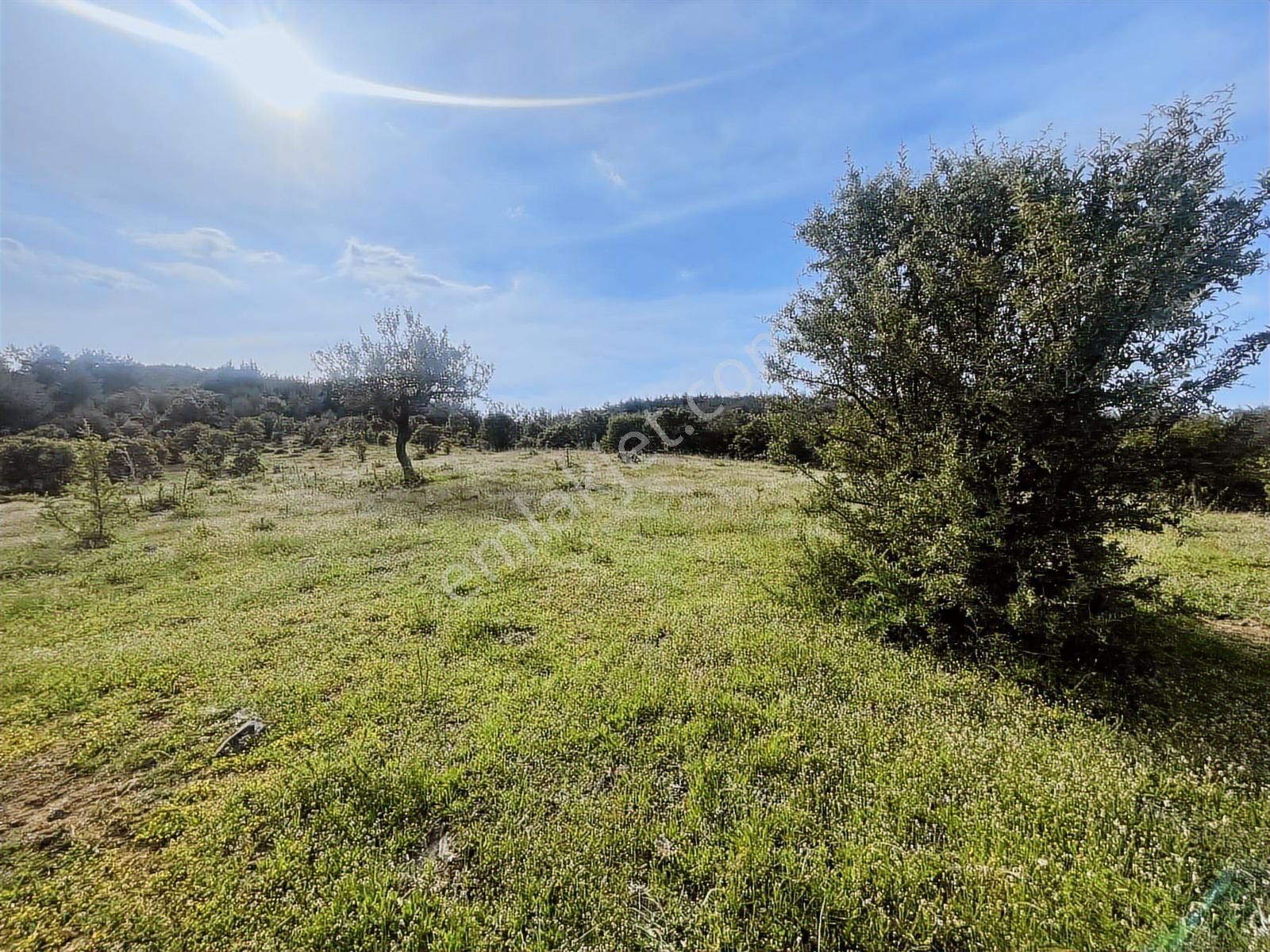 Çanakkale Merkez Salihler 26.200 M2 Tek Tapu Doğa İçi Fırsat