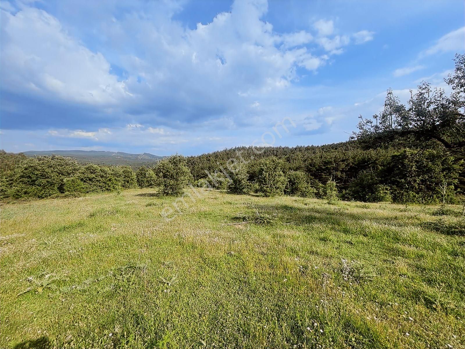 Çanakkale Merkez Salihler 26.200 M2 Tek Tapu Doğa İçi Fırsat - Görsel 24