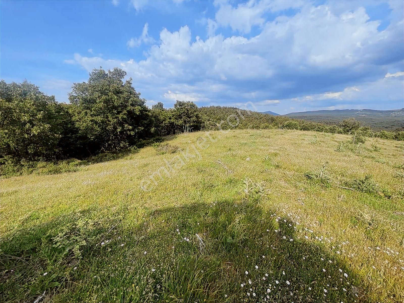 Çanakkale Merkez Salihler 26.200 M2 Tek Tapu Doğa İçi Fırsat - Görsel 25