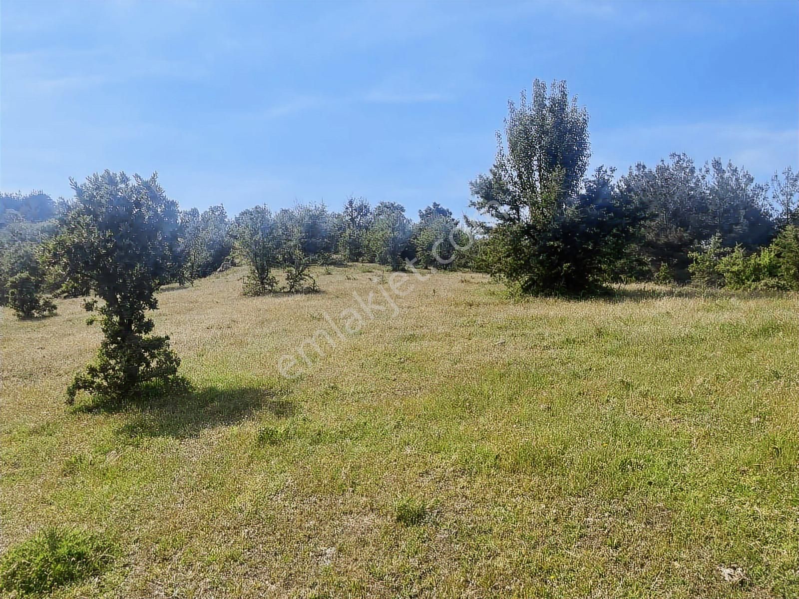 Çanakkale Merkez Salihler 26.200 M2 Tek Tapu Doğa İçi Fırsat - Görsel 33