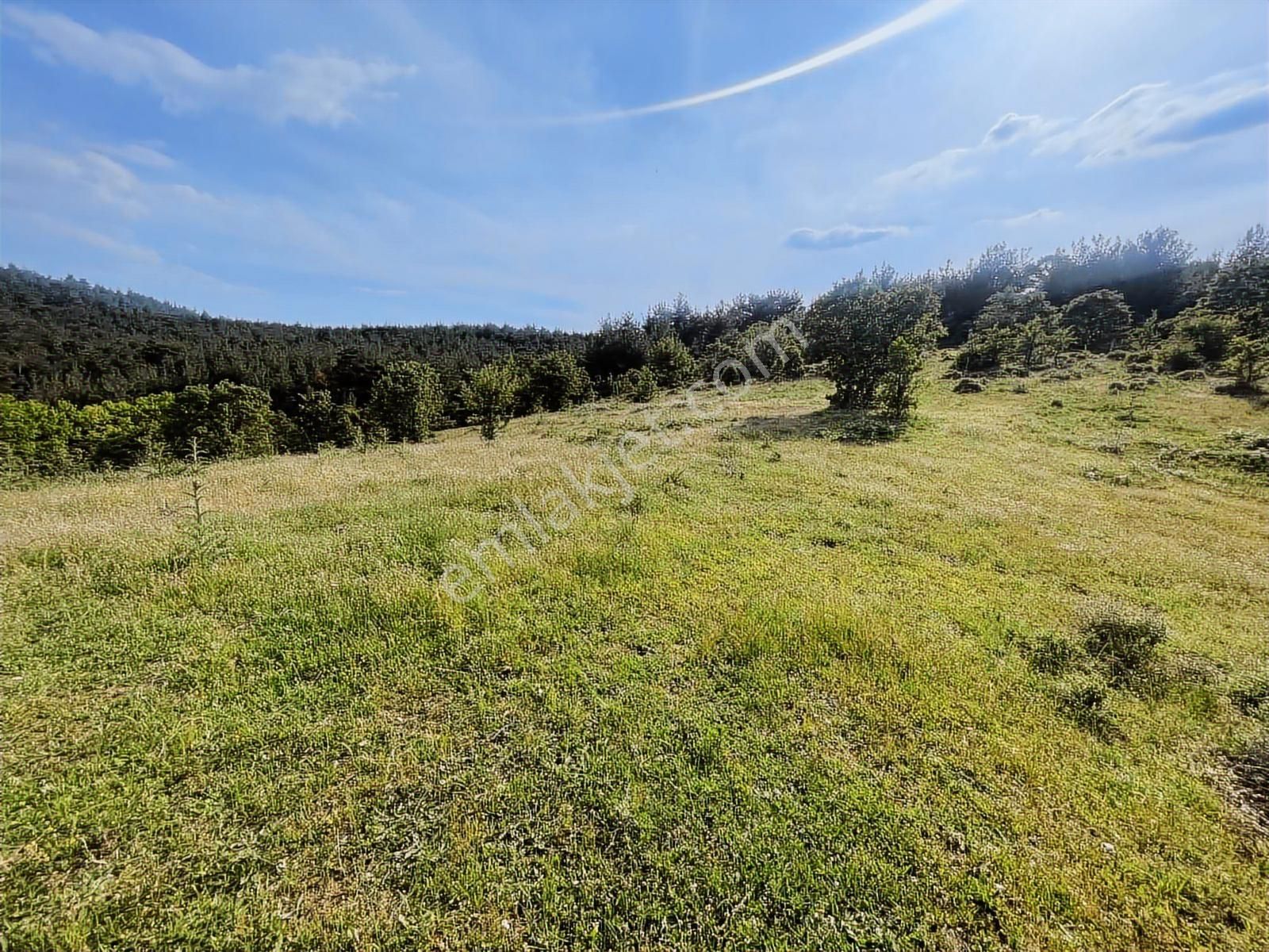 Çanakkale Merkez Salihler 26.200 M2 Tek Tapu Doğa İçi Fırsat - Görsel 31