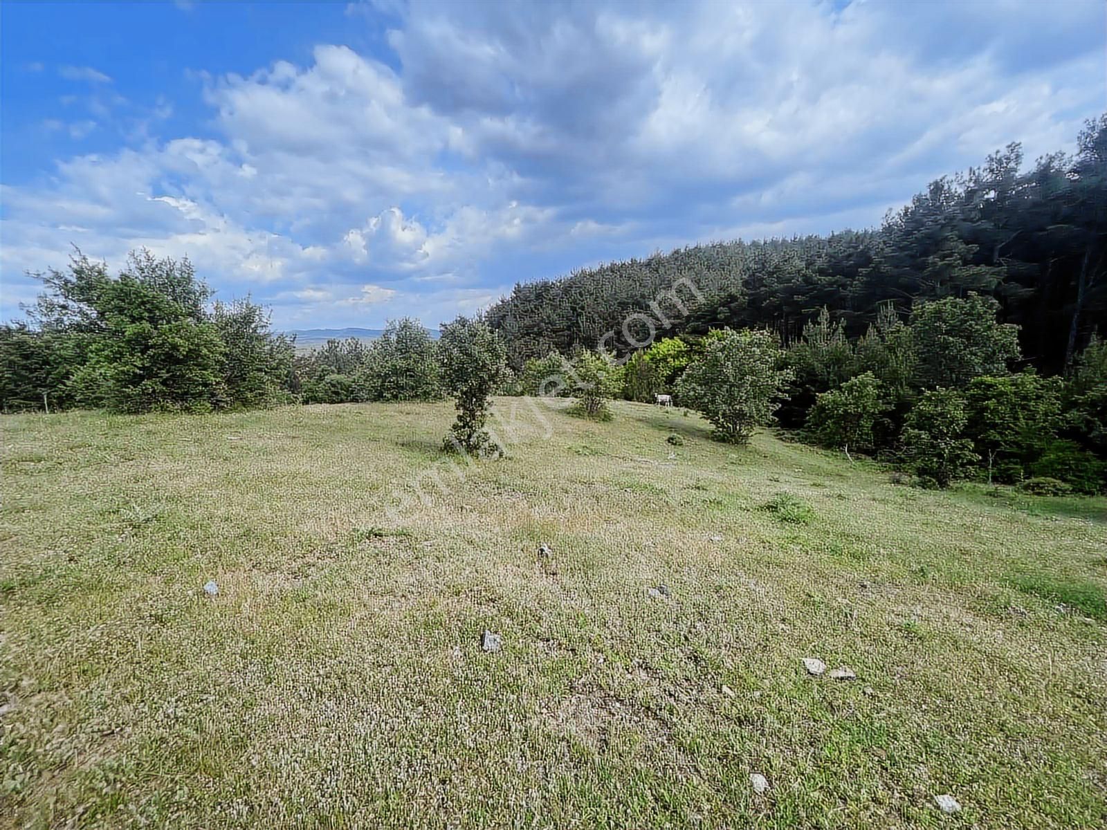 Çanakkale Merkez Salihler 26.200 M2 Tek Tapu Doğa İçi Fırsat - Görsel 17