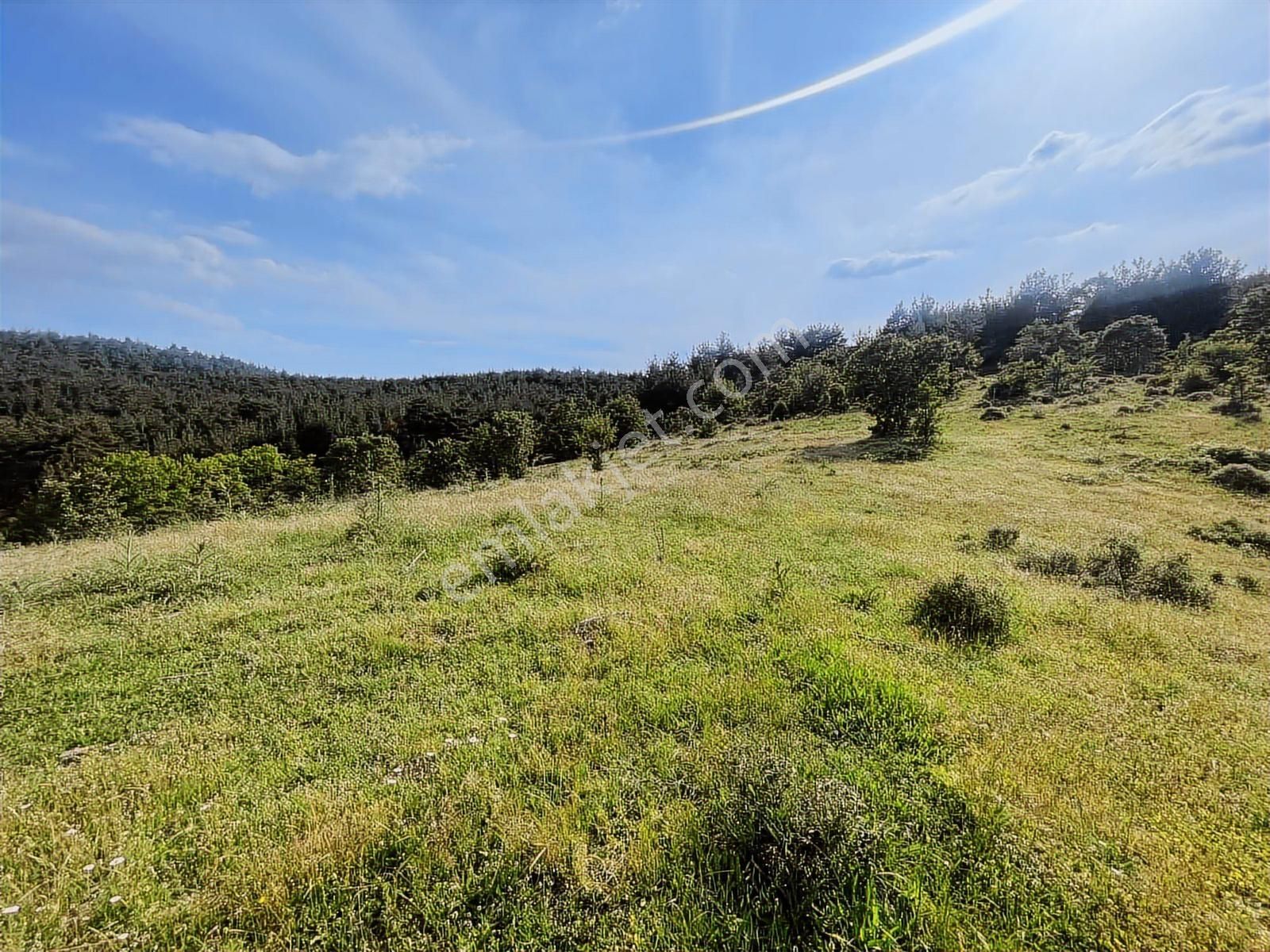 Çanakkale Merkez Salihler 26.200 M2 Tek Tapu Doğa İçi Fırsat - Görsel 34