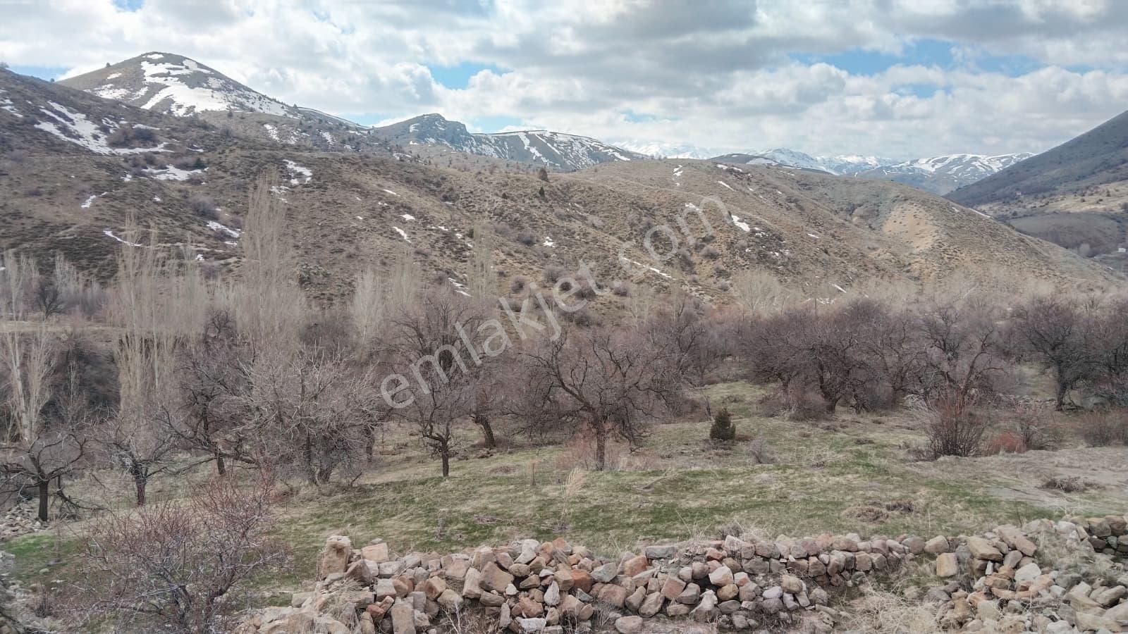 Kadastral Resmi Yola Cephe, Bağ Evi Veya Villa İçin İdeal - Görsel 6