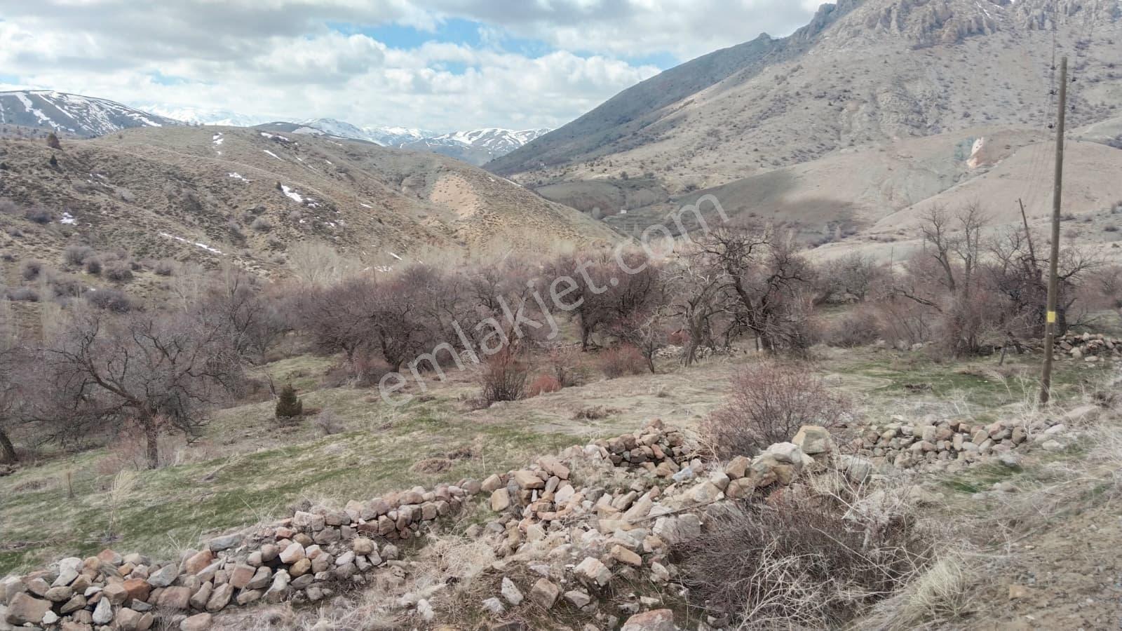 Kadastral Resmi Yola Cephe, Bağ Evi Veya Villa İçin İdeal - Görsel 7