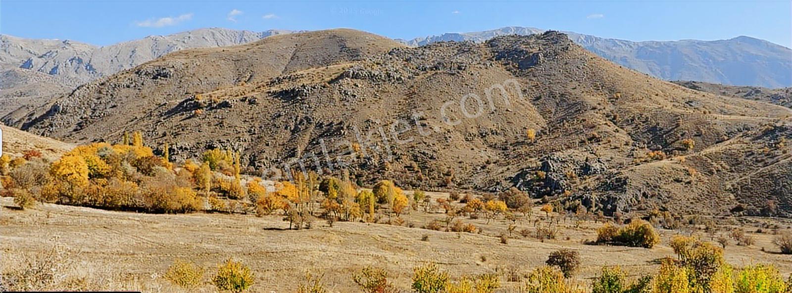 Kadastral Resmi Yola Cephe, Bağ Evi Veya Villa İçin İdeal