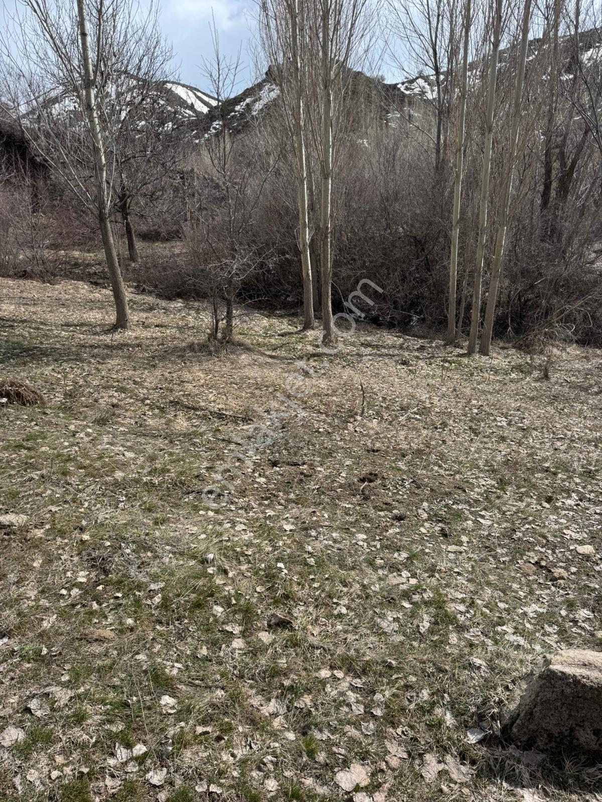 Kadastral Resmi Yola Cephe, Bağ Evi Veya Villa İçin İdeal - Görsel 9