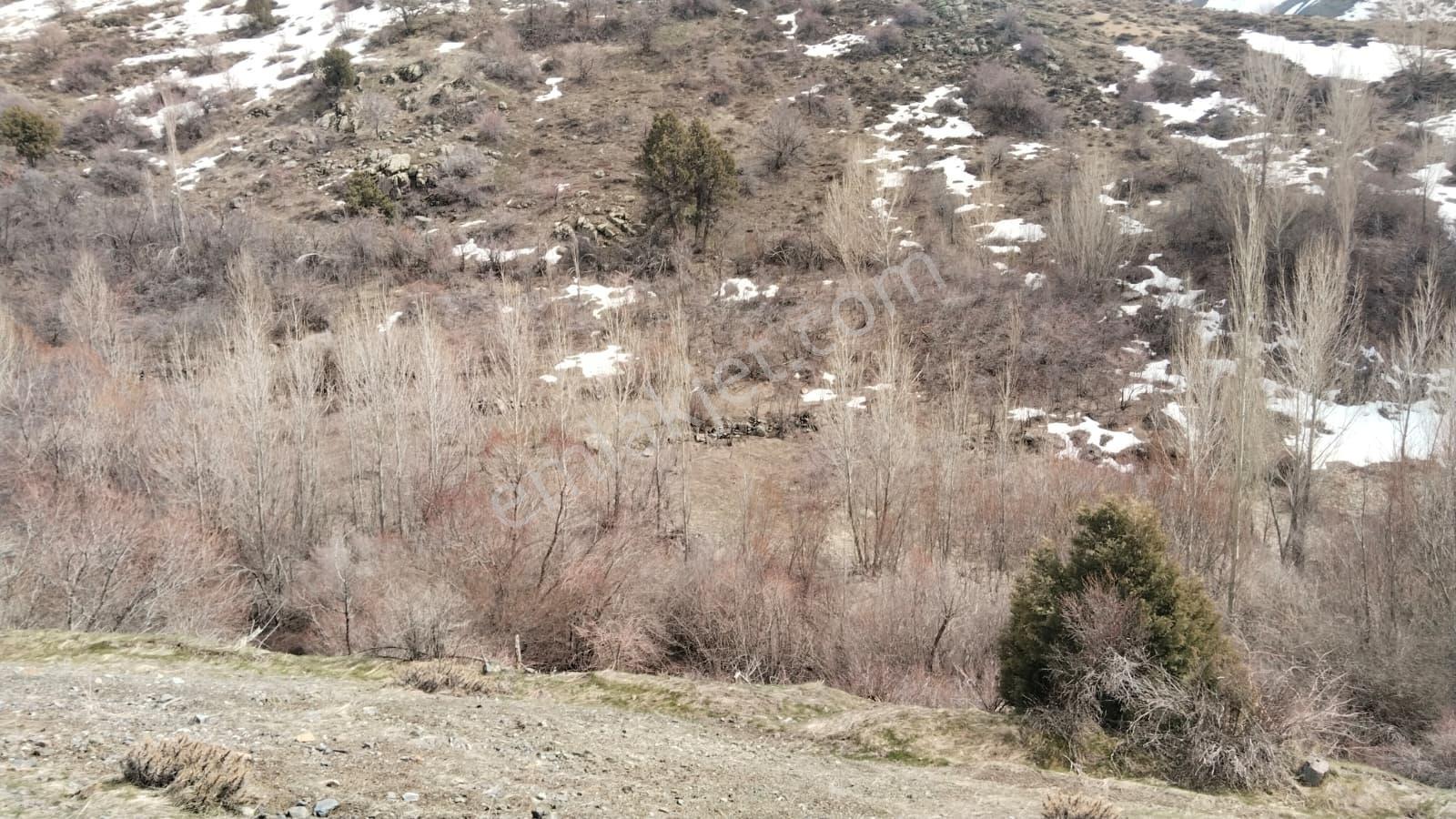 Kadastral Resmi Yola Cephe, Bağ Evi Veya Villa İçin İdeal - Görsel 10