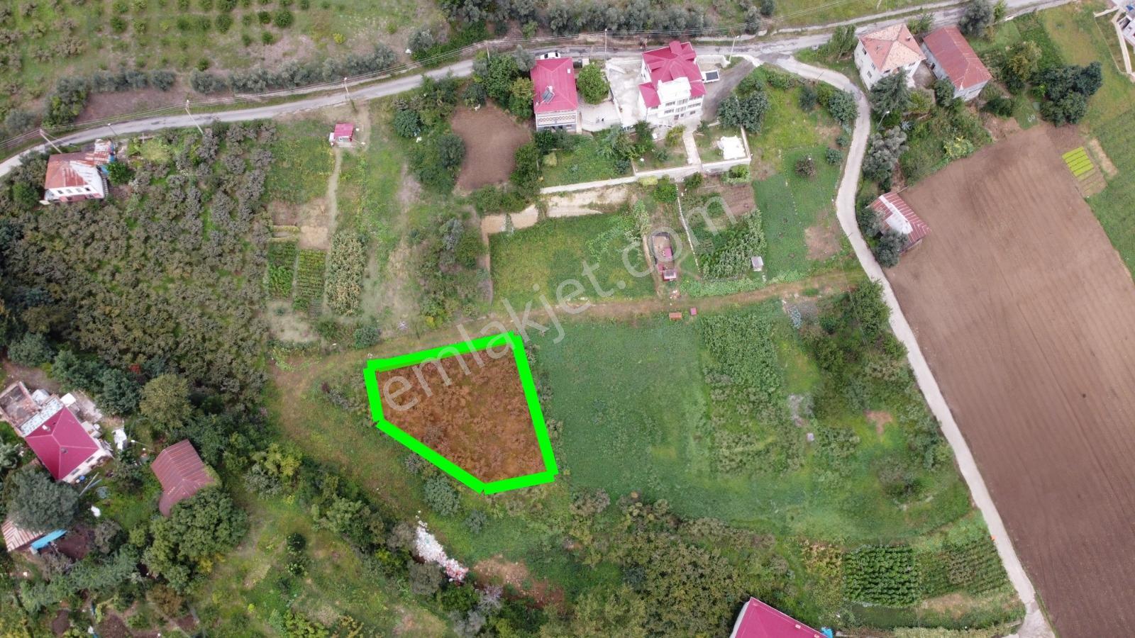 Abdi Bostan Gayrimenkul'den Akçaabat Darıca'da Satılık Arsalar - Görsel 2