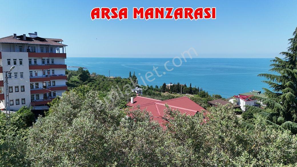 Trabzon Akçaabat Zeytinlikte Satılık Arsalar - Görsel 14