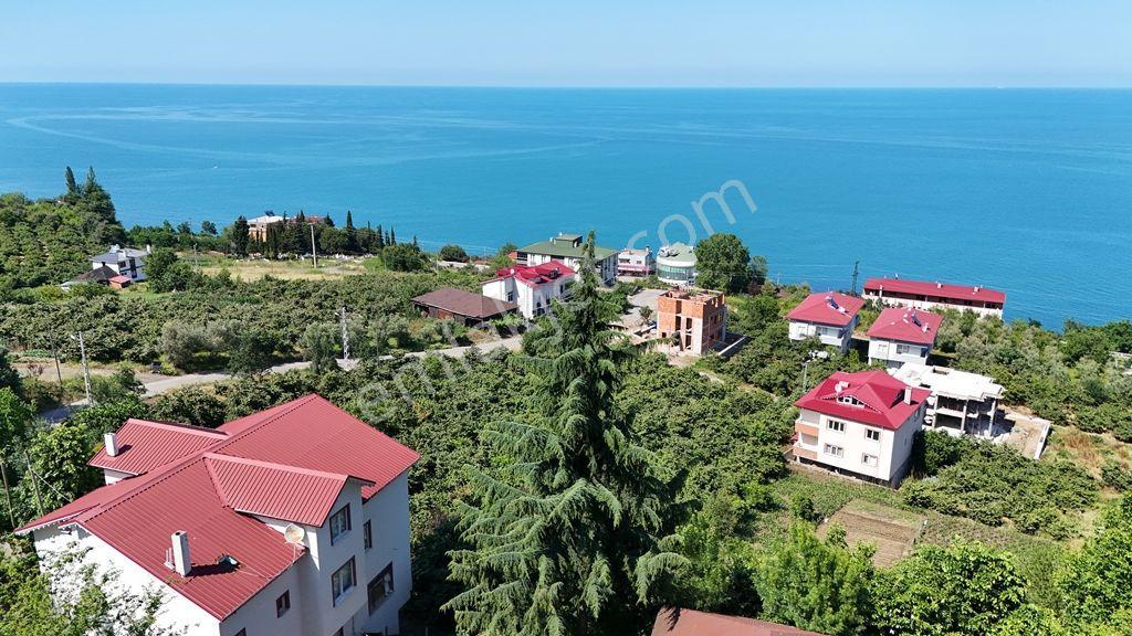 Trabzon Akçaabat Zeytinlikte Satılık Arsalar - Görsel 17