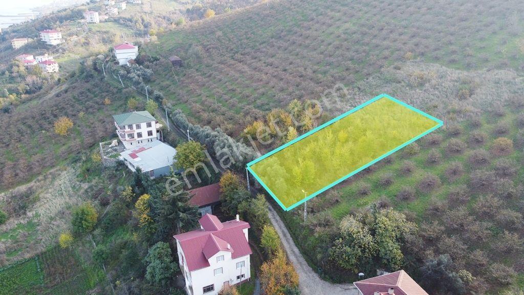 Trabzon Akçaabat Zeytinlikte Satılık Arsalar - Görsel 2