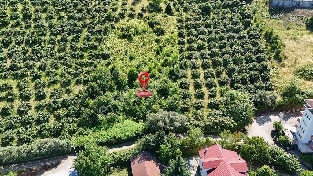 Trabzon Akçaabat Zeytinlikte Satılık Arsalar - Görsel 8