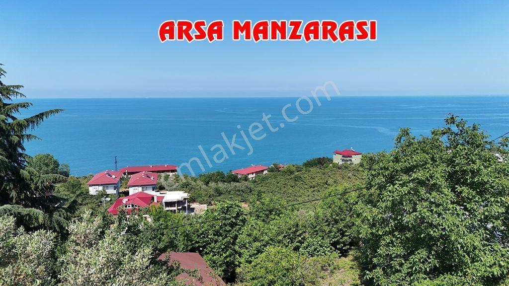 Trabzon Akçaabat Zeytinlikte Satılık Arsalar - Görsel 15