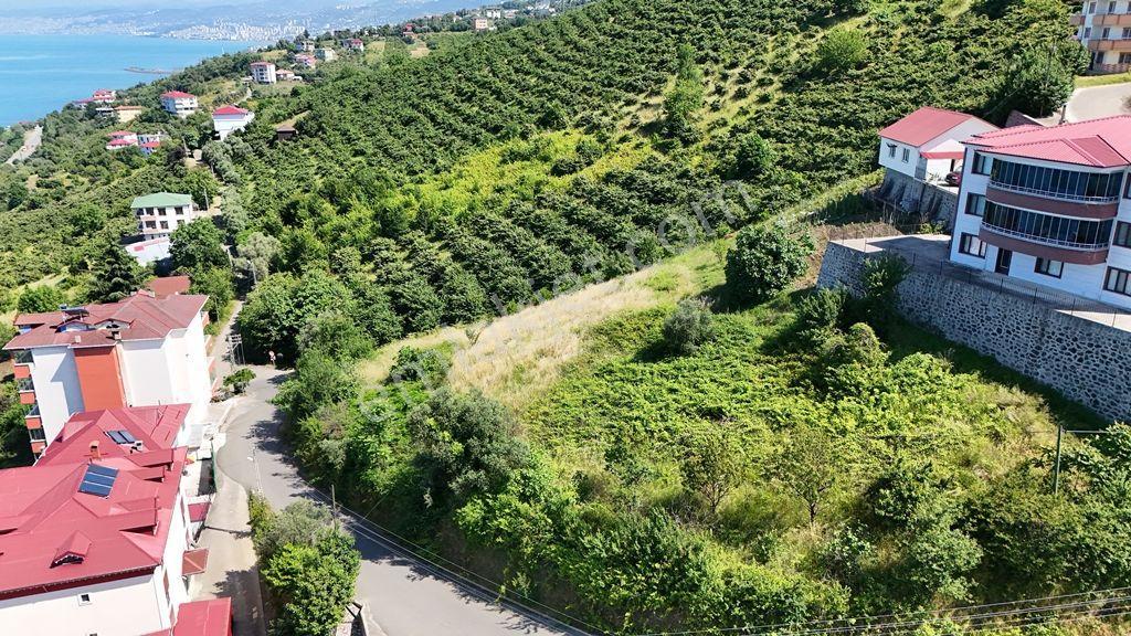 Trabzon Akçaabat Zeytinlikte Satılık Arsalar - Görsel 9