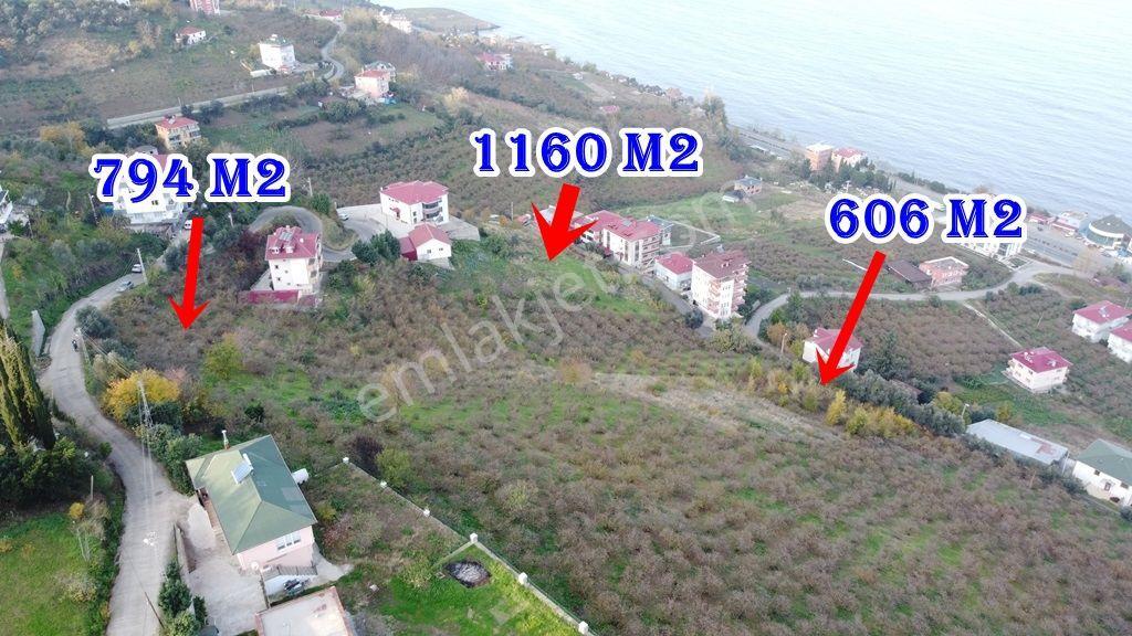 Trabzon Akçaabat Zeytinlikte Satılık Arsalar - Görsel 18