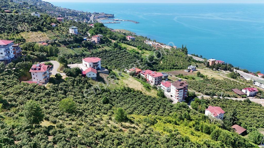 Trabzon Akçaabat Zeytinlikte Satılık Arsalar - Görsel 11