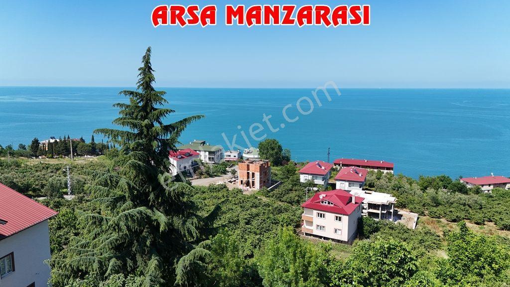Trabzon Akçaabat Zeytinlikte Satılık Arsalar - Görsel 16