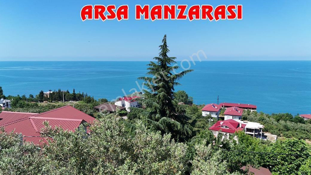 Trabzon Akçaabat Zeytinlikte Satılık Arsalar - Görsel 13