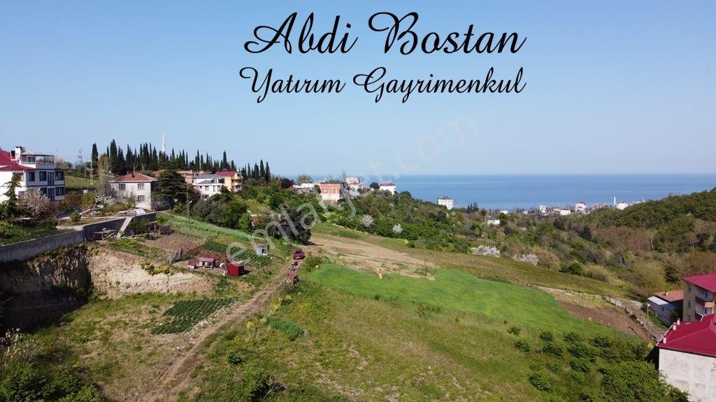 Trabzon Akçaabat Darıcada Satılık Arazi​ - Görsel 13