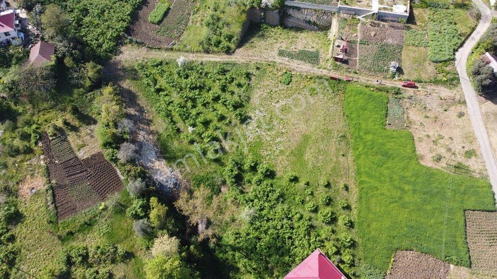 Trabzon Akçaabat Darıcada Satılık Arazi​