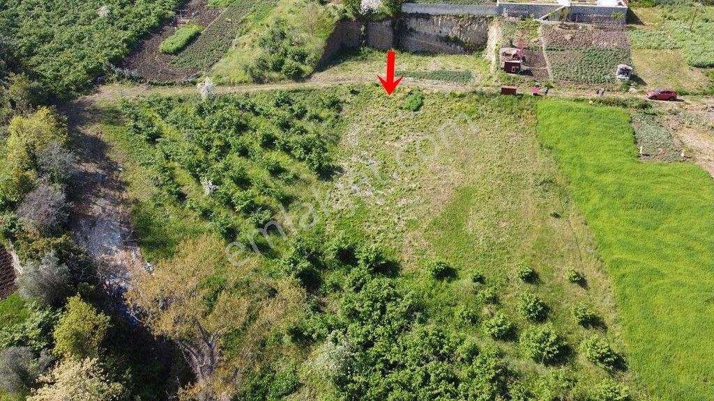 Trabzon Akçaabat Darıcada Satılık Arazi​ - Görsel 6