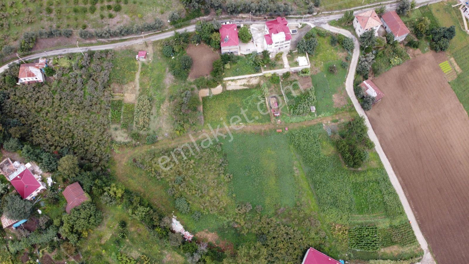 Trabzon Akçaabat Darıcada Satılık Arazi​ - Görsel 8