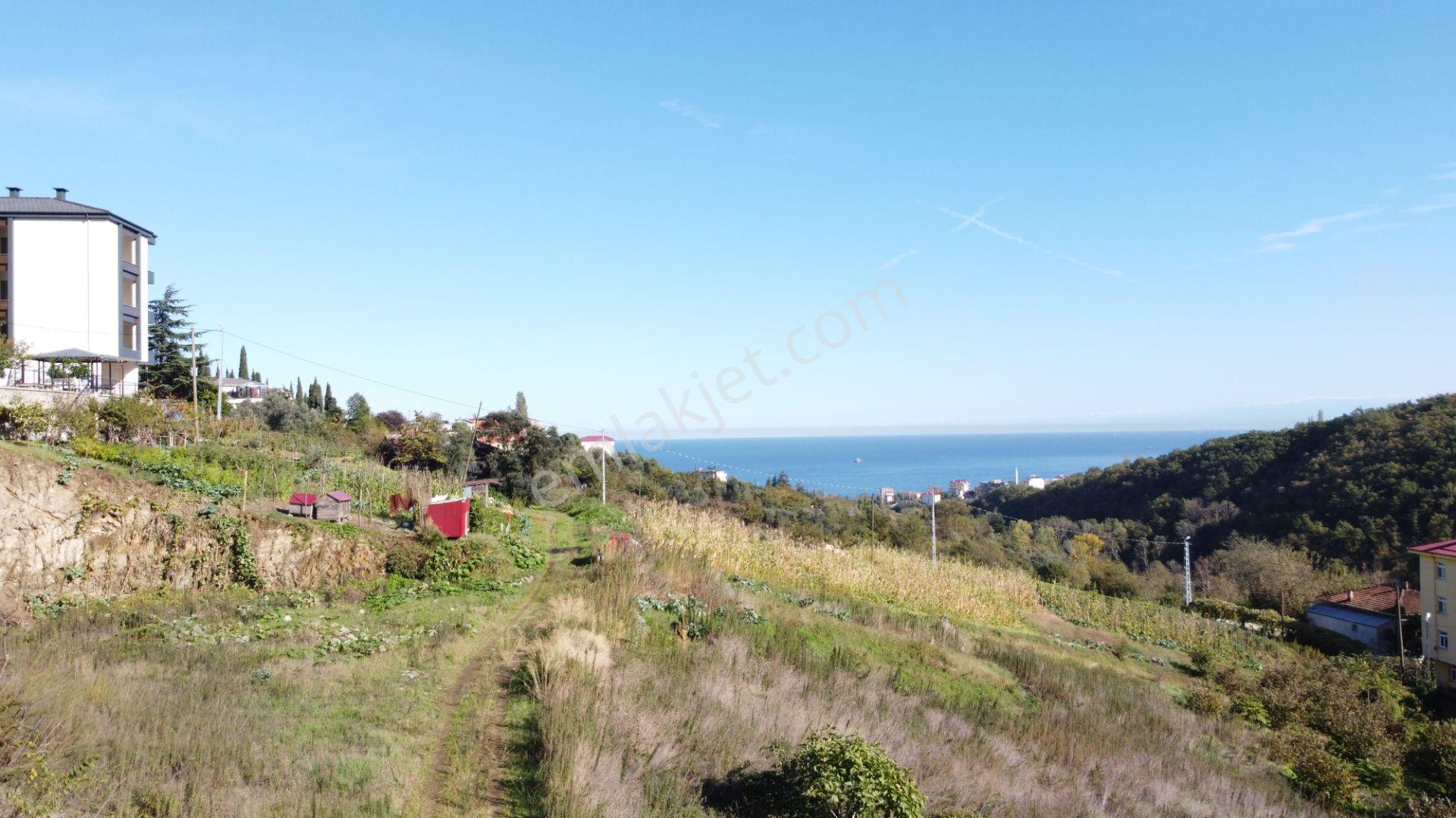 Trabzon Akçaabat Darıcada Satılık Arazi​