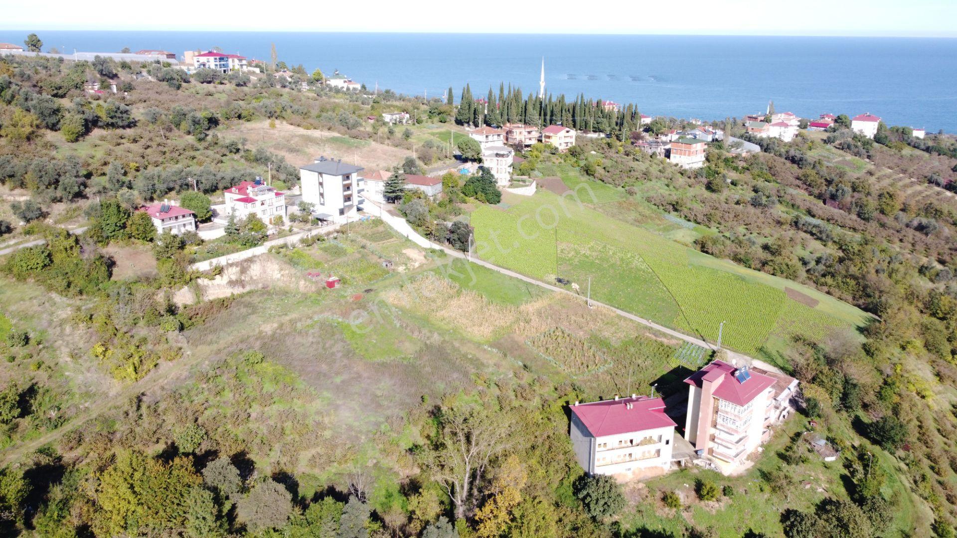 Trabzon Akçaabat Darıcada Satılık Arazi​ - Görsel 15
