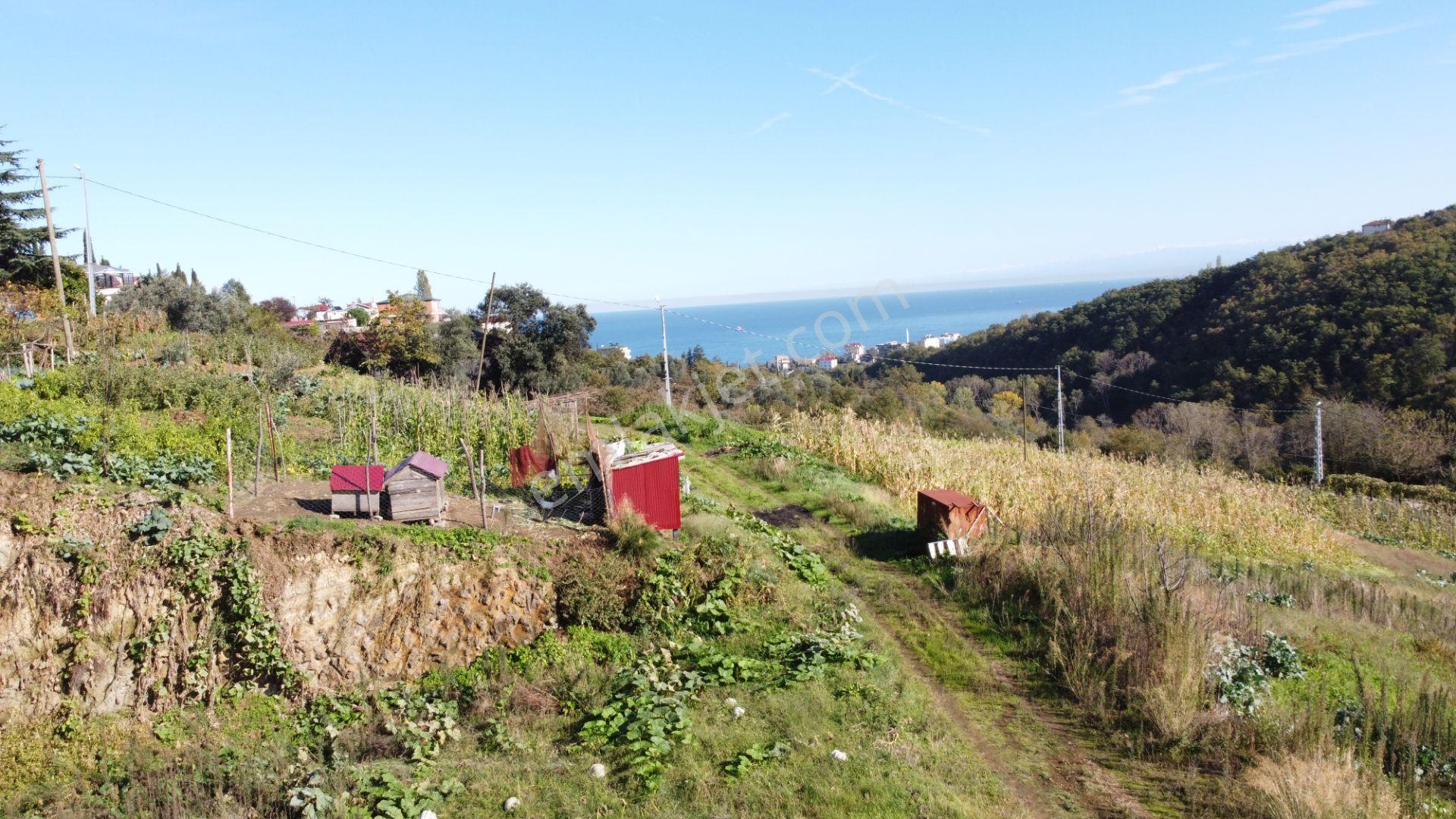 Trabzon Akçaabat Darıcada Satılık Arazi​ - Görsel 11